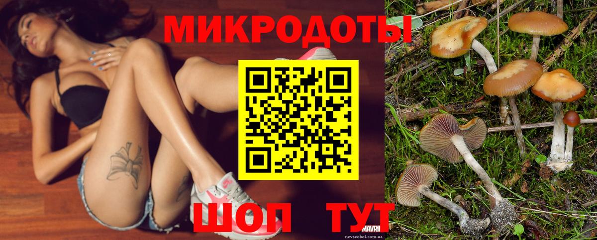 Галлюциногенные грибы мицелий  Вход с VPN  Галлюциногенные грибы Cubensis  Строитель 